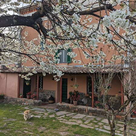 ホテル Dimora Marella Patrica - Frosinone エクステリア 写真