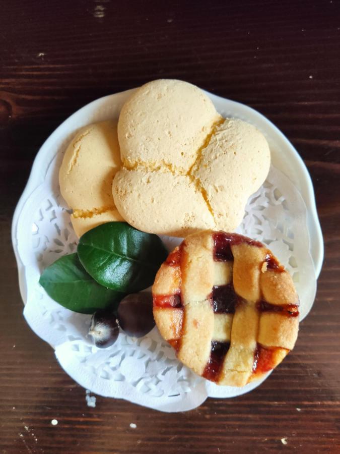 ホテル Dimora Marella Patrica - Frosinone エクステリア 写真