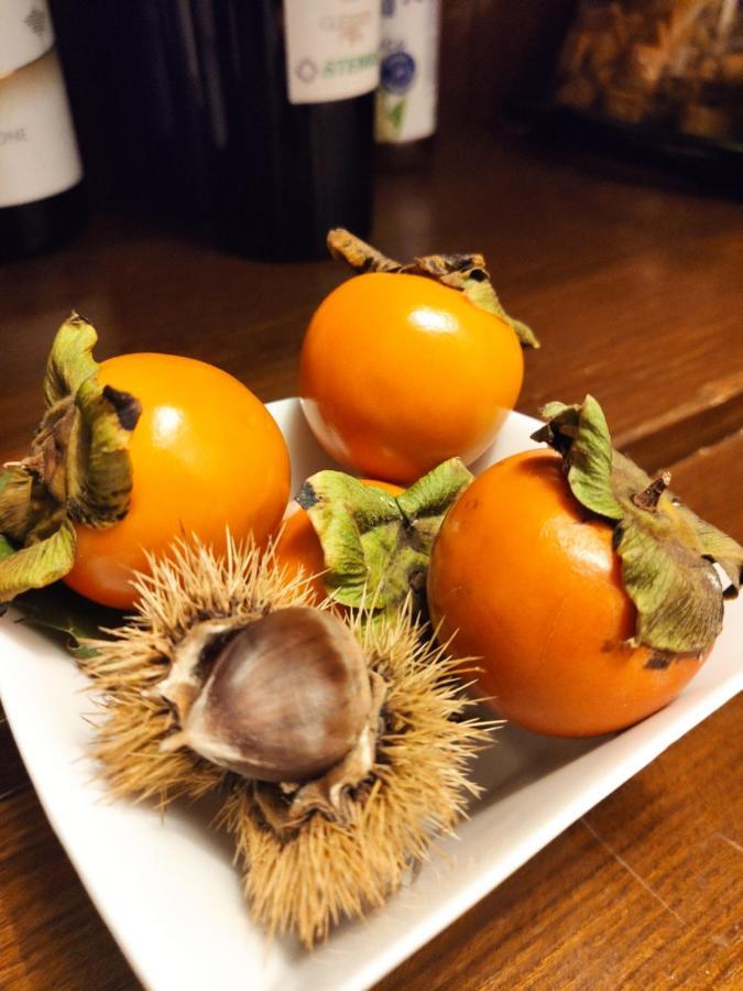 ホテル Dimora Marella Patrica - Frosinone エクステリア 写真
