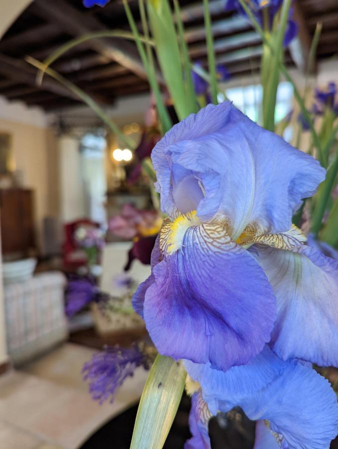 ホテル Dimora Marella Patrica - Frosinone エクステリア 写真